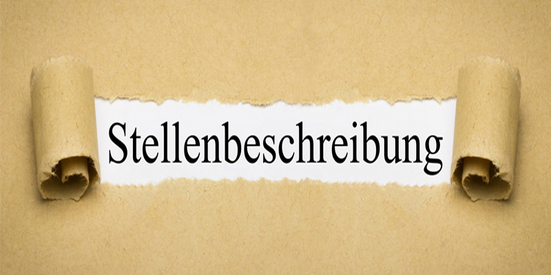 Vom Teammitglied zur Kitaleitung