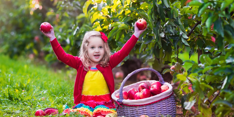 Fingerspiel Fünf Bäume