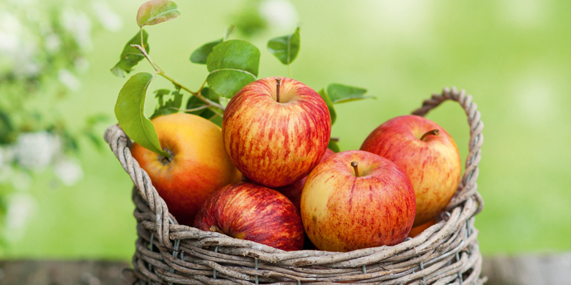 Fingerspiel für den Herbst