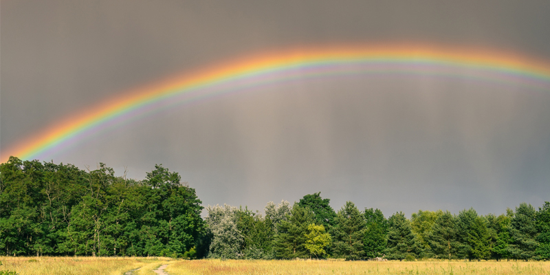 Fingerspiel Regenbogen