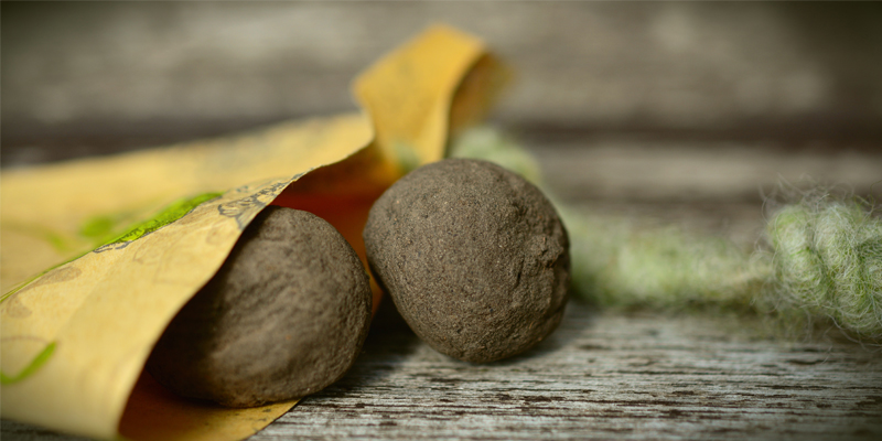 Samenbomben selber herstellen