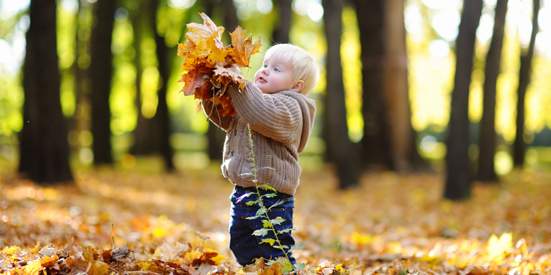 Spielideen mit Herbstlaub