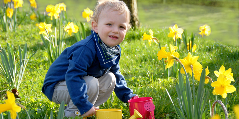 kleines Kind spielt auf einer Wiese mit Narzissen