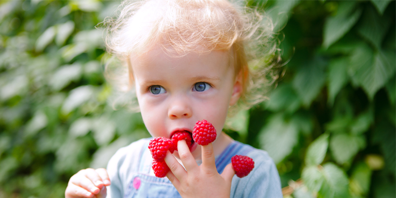 Kind isst Himbeeren