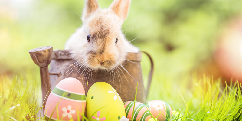 Bastelideen für Ostern, Osterhase, Ostereier