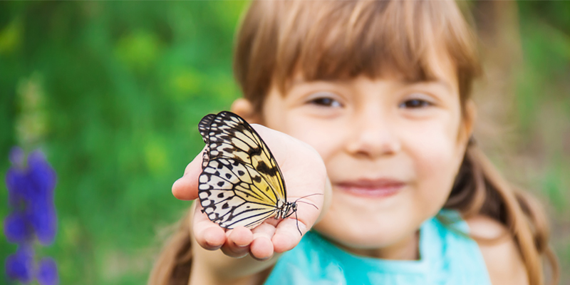 Von der Raupe zum Schmetterling, Kind mit Schmetterling