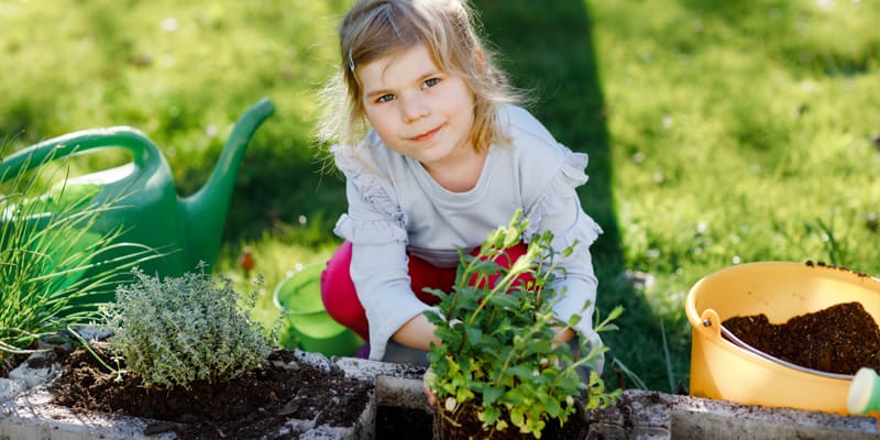 Aktion "Kräuterkids", Mädchen pflanzt Kräuter
