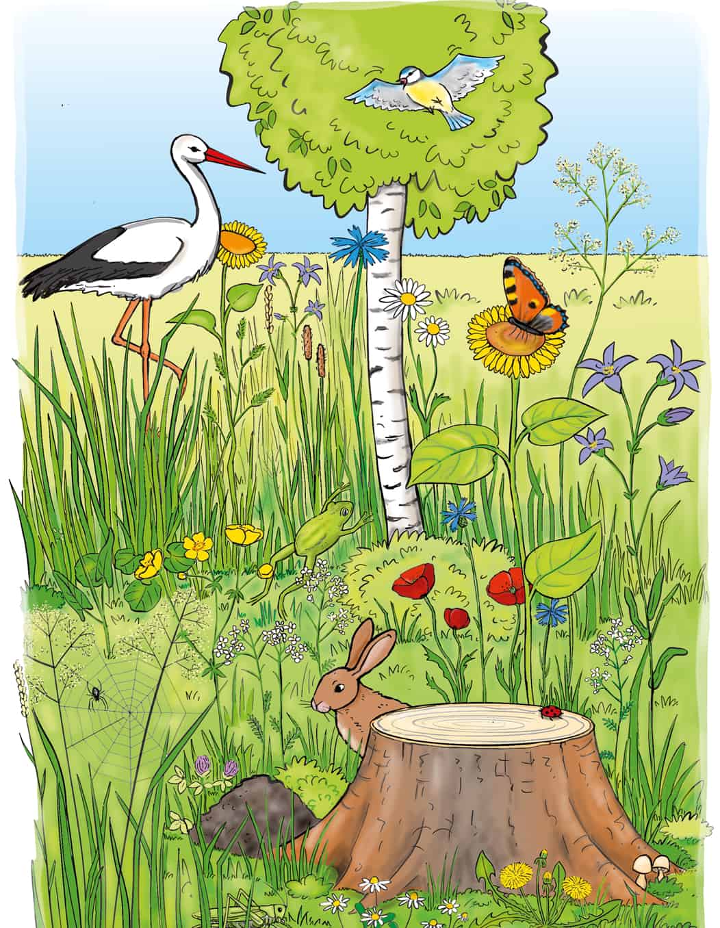 Fantasiereie auf der Wiese