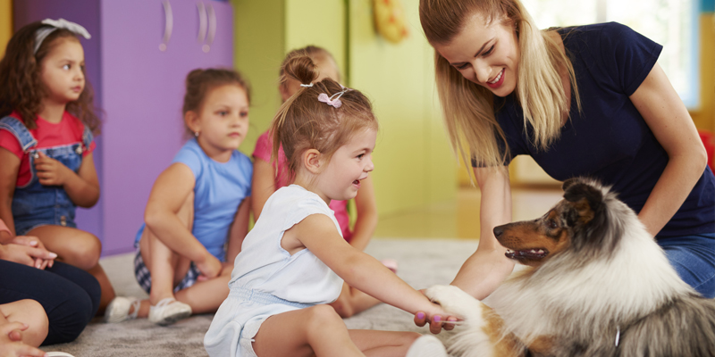 Ein Hund in unserer Kita