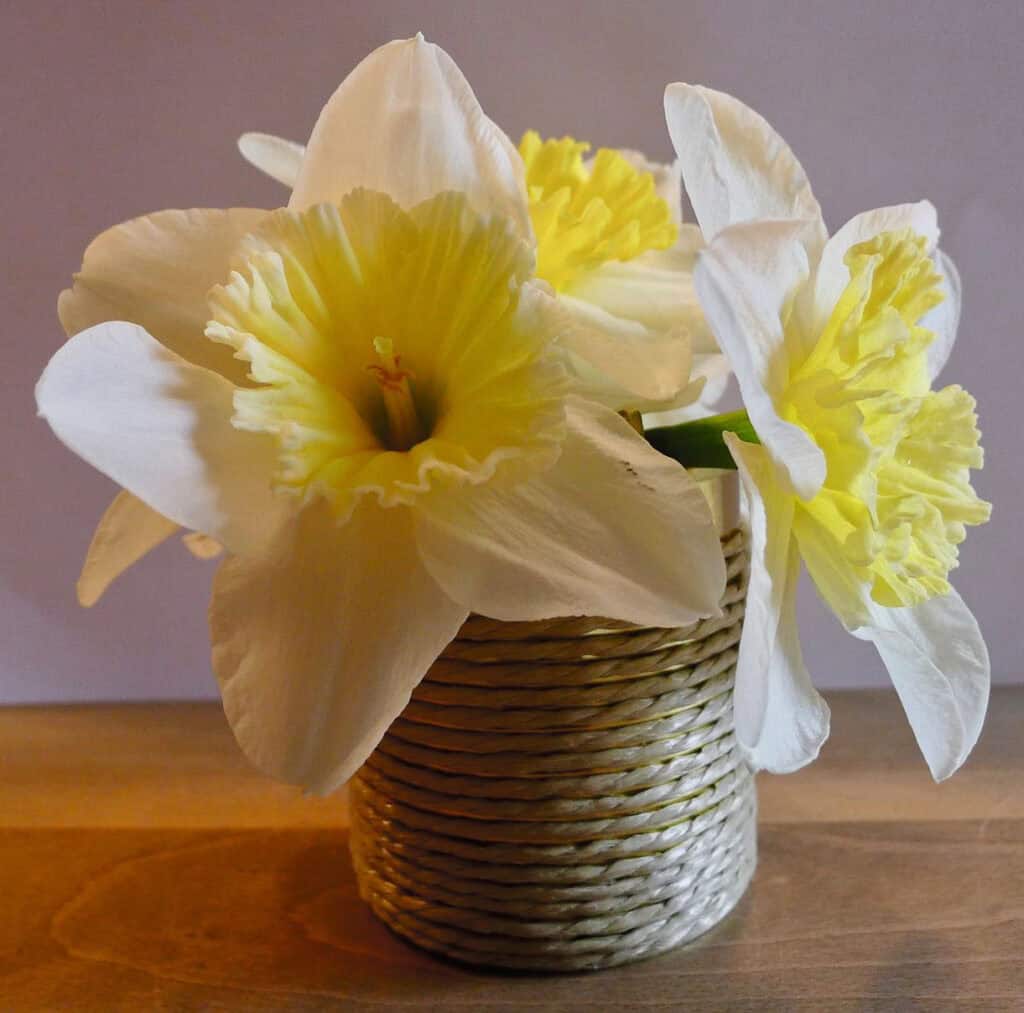 Blumenvase aus einer Konservendose