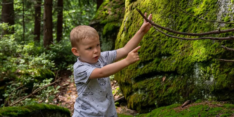 Die Erlebnispädagogik, Kind im Wald