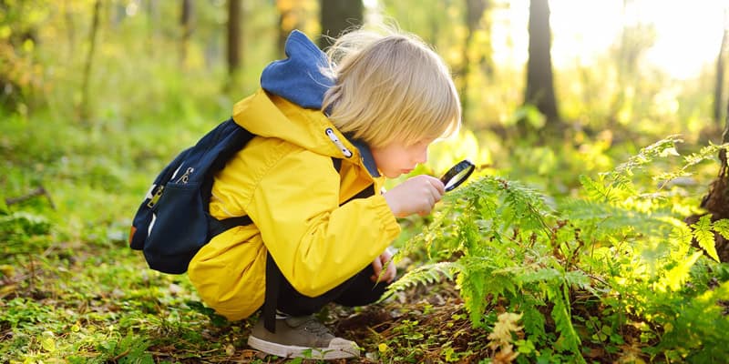 Die Reggio-Pädagogik, Kind mit Lupe im Wald