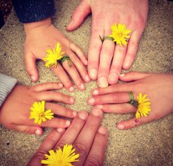 Kinderhände mit Blüten im Kreis