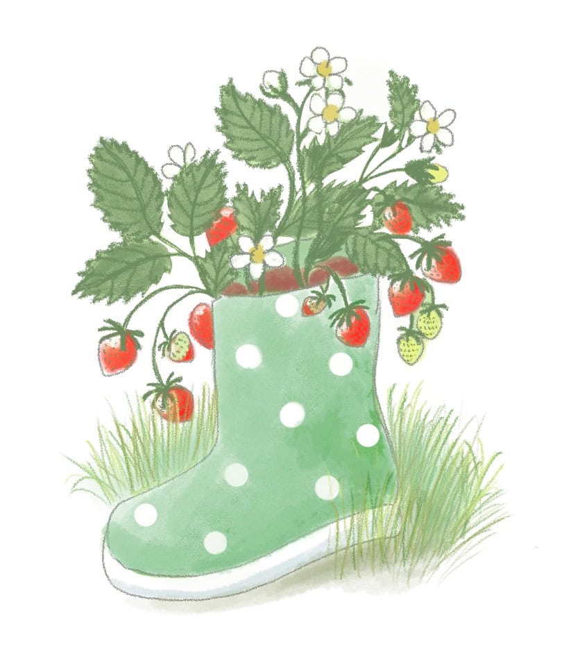 Kleines Erdbeerbeet im Gummistiefel
