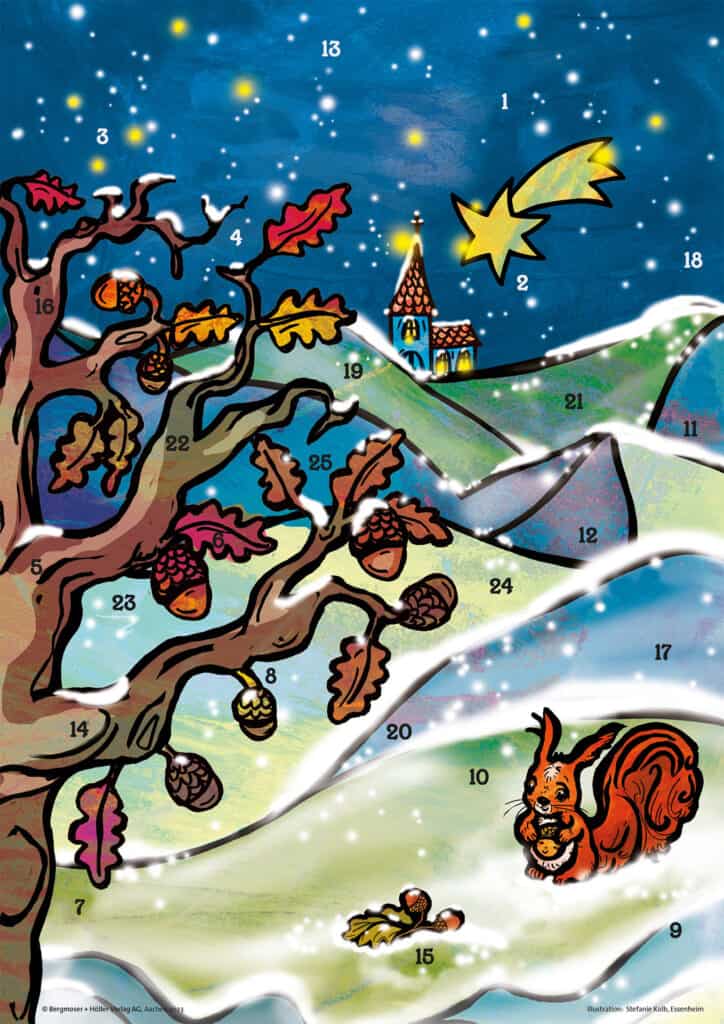 Cover Fibi die Adventsnuss