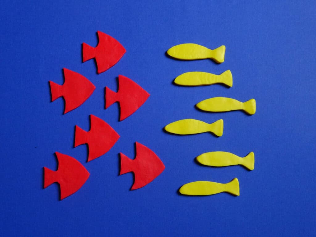 Fische nach Größe und Farbe sortieren