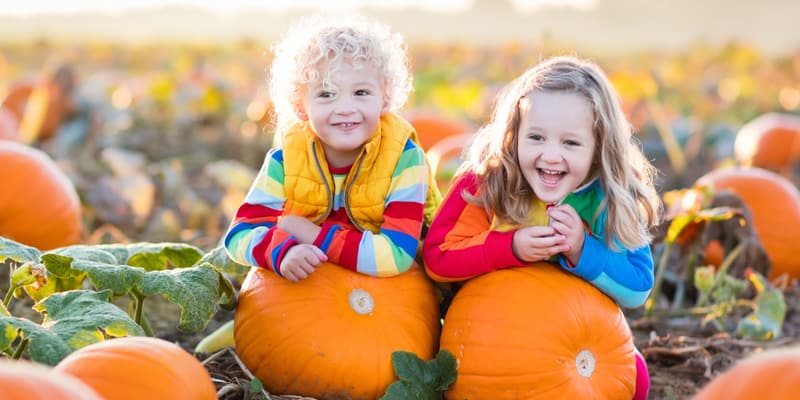 Zwei Kinder liegen auf Kürbissen auf einem Kürbisfeld