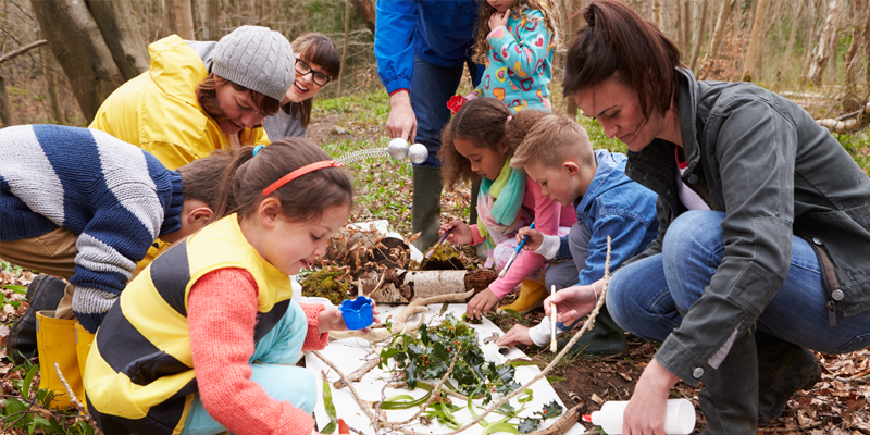 Mathematische Spiele in der Natur