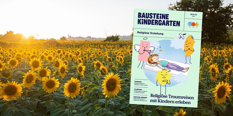 Medientipp 642-2302, Sonnenblumenfeld mit Cover