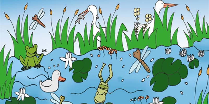 Teich mit Fröschen und Störchen