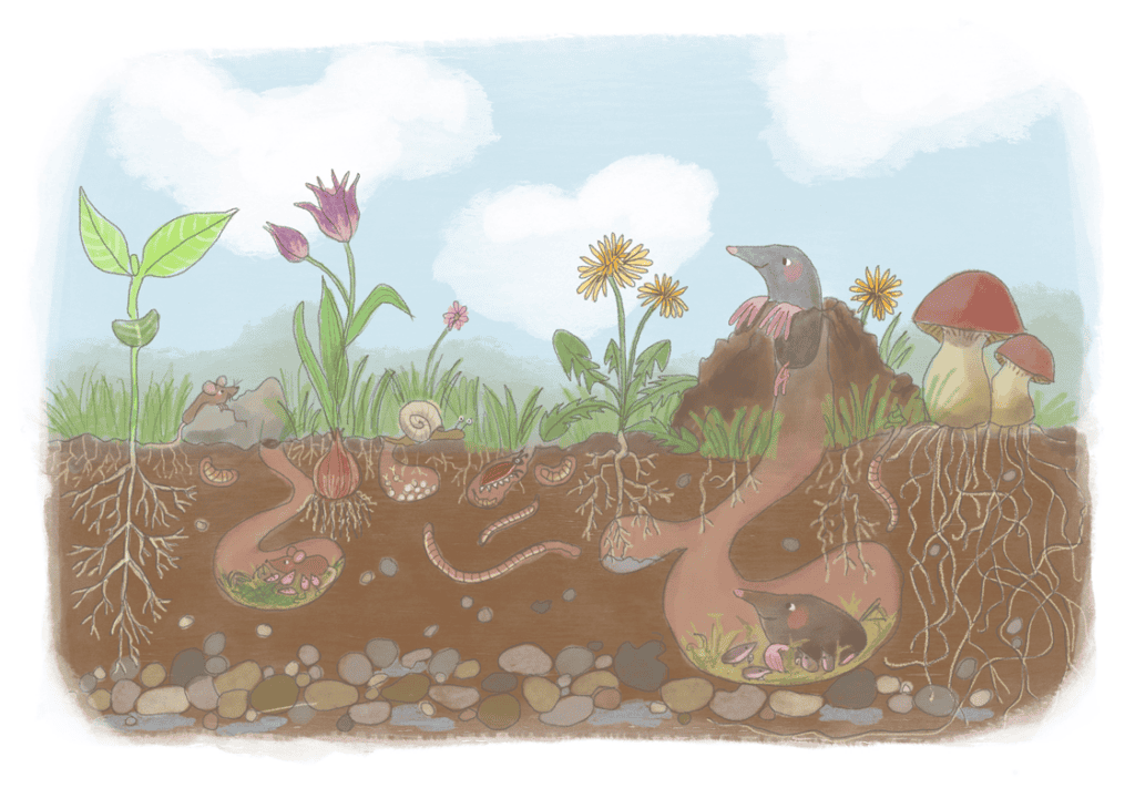 Leben unter der Erde