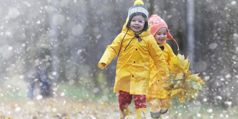 Waldtage im Kindergarten